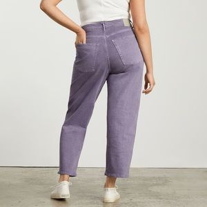 Everlane The Way-High® Jean in purple size 25 tall